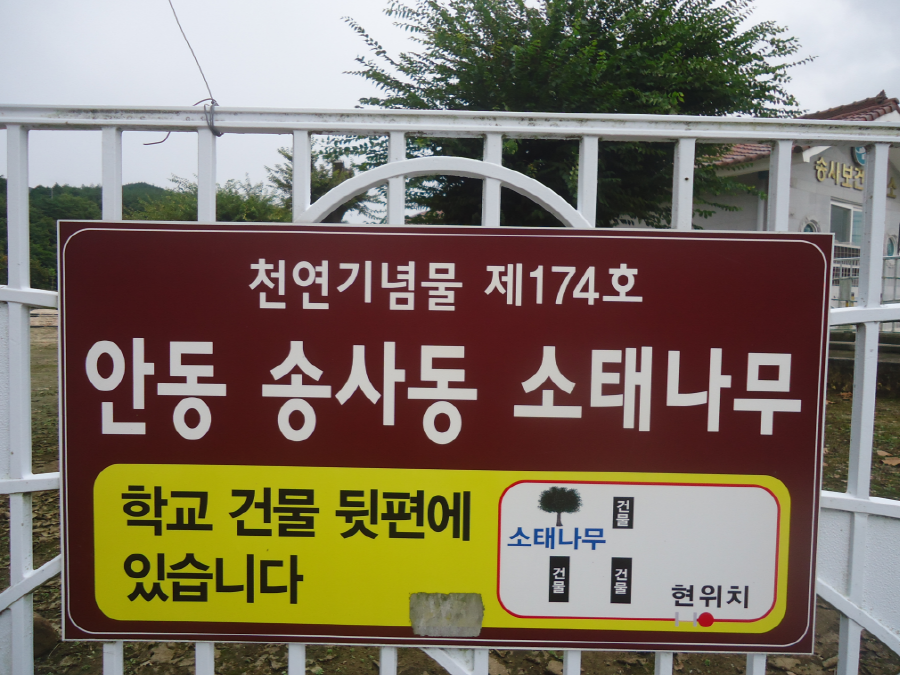안동 천지갑산마을 농촌체험기