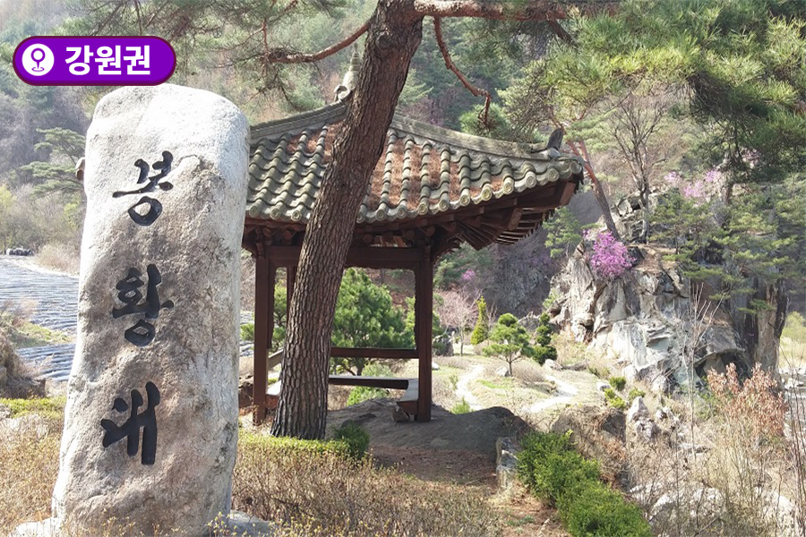 [강원권] 평창군 봉황마을
