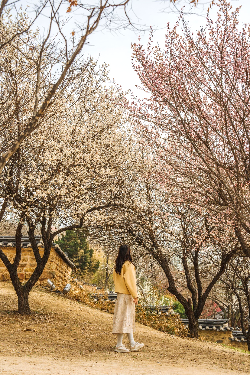 동춘당 역사공원