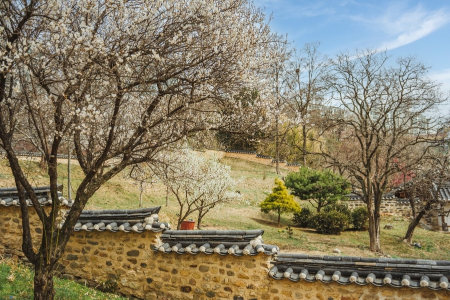 동춘당 역사공원