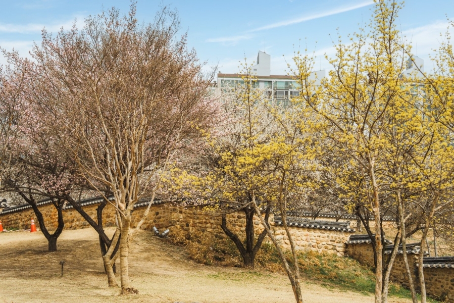 동춘당 역사공원