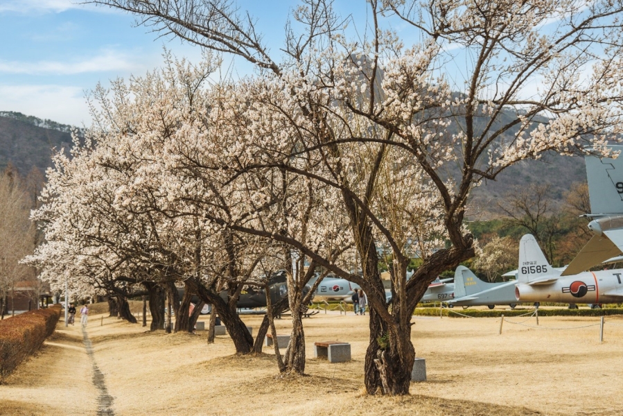 국립대전현충원