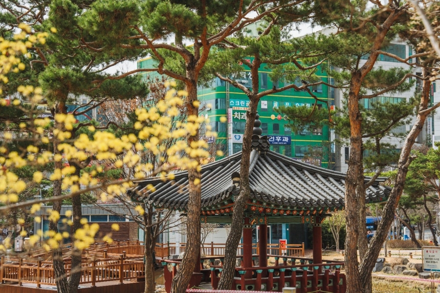 동춘당 역사공원