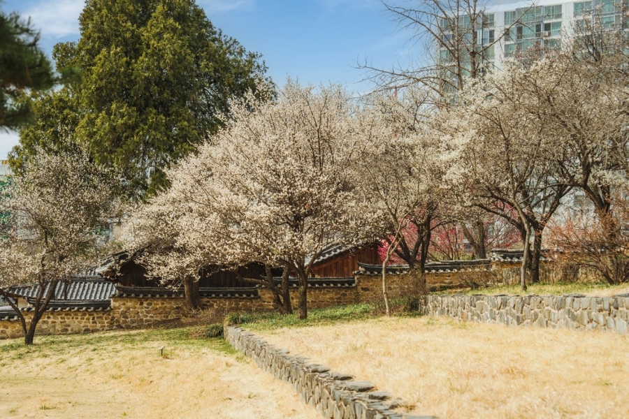 동춘당 역사공원