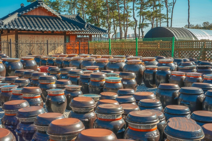 장이익어가는마을