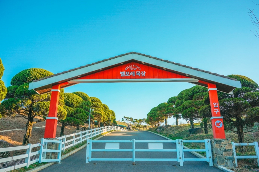 블랙스톤 벨포레 목장