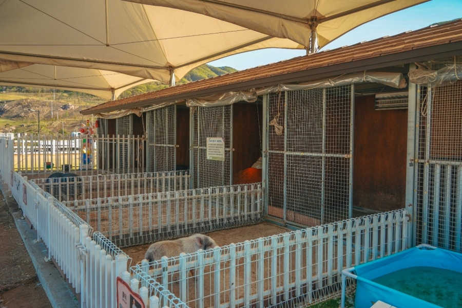 블랙스톤 벨포레 목장