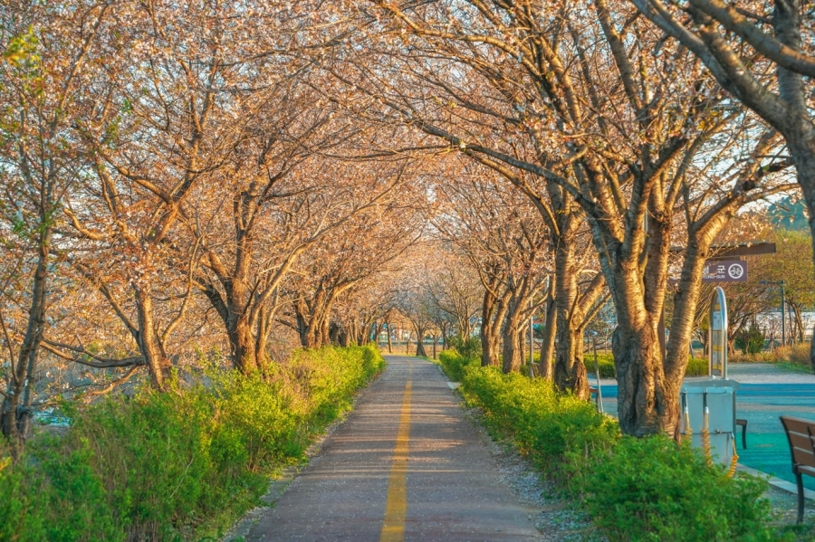 증평자전거공원