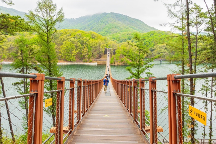 마장호수 출렁다리