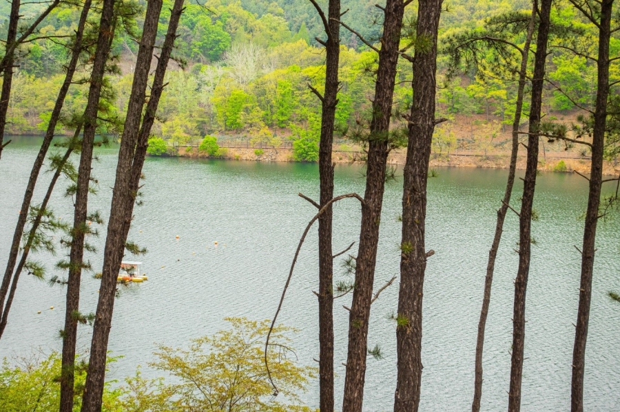 마장호수 출렁다리