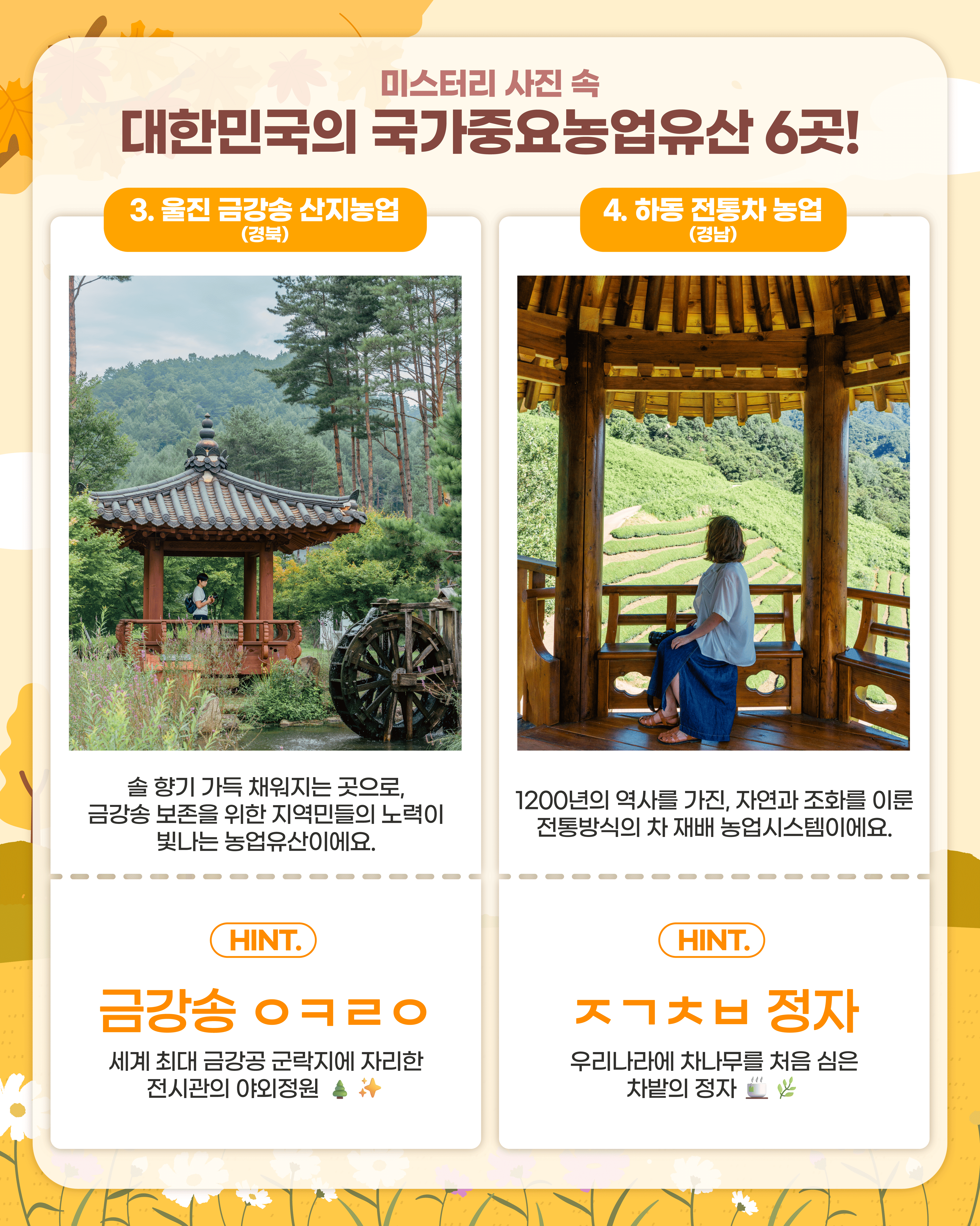 🎉 2025 국가중요농업유산 미스터리 인증샷 챌린지 🎉