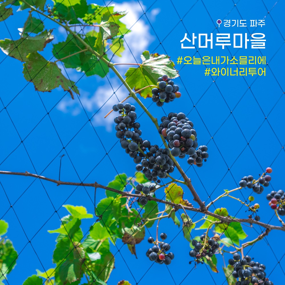 10월(2회차) 이벤트-05.jpg