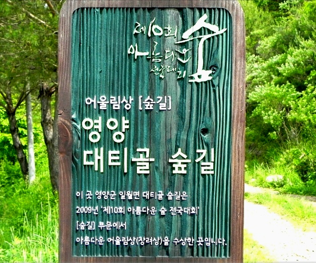 이미지%201.jpg